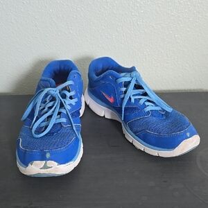 Nike Flex Experience Run 3 Low Blue Size 8